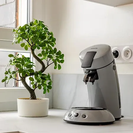 La Cote Verte Studio Charme *